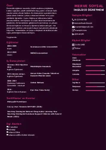 Yabancı Dil Öğretmeni Cv Örnekleri cv indir